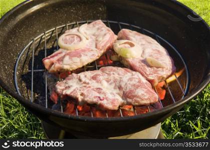 kettle barbecue grill with raw meat on grass background