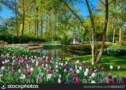 Keukenhof flower garden, One of the world&rsquo;s largest flower gardens. Lisse, the Netherlands.. Keukenhof flower garden. Lisse, the Netherlands.