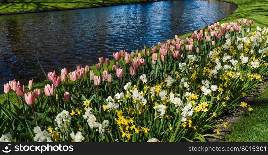 Keukenhof garden, Netherlands