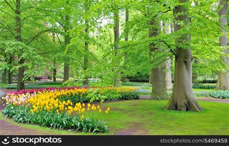 Keukenhof Gardens, Lisse, Netherlands in spring time