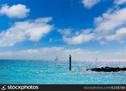 Key West beach Fort Zachary Taylor Park in Florida USA