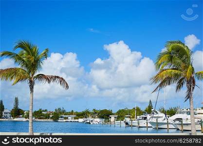 Key West Florida marina in Garrison Bight of Florida USA
