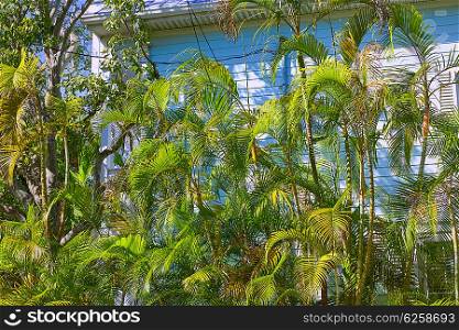 Key west street house palm trees facades in Florida USA