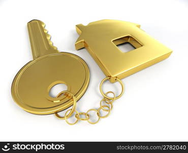 Key with home. 3d