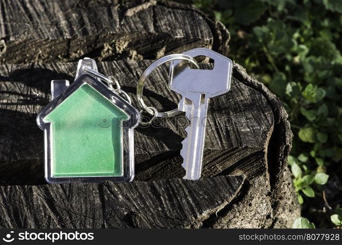 Keychain in a shape of house on wood. Green color house