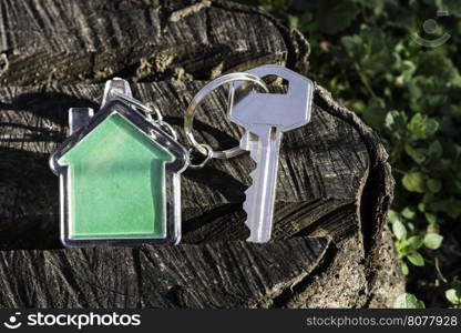 Keychain in a shape of house on wood. Green color house