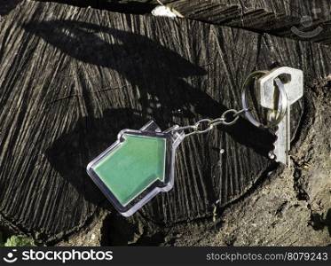 Keychain in a shape of house on wood. Green color house