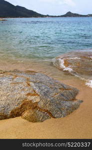 kho samui bay asia isle white beach tree rocks in thailand and south china sea