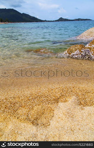 kho samui bay asia isle white beach tree rocks in thailand and south china sea