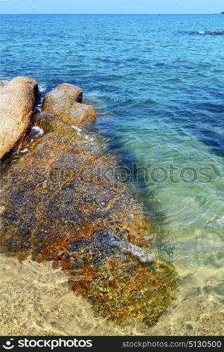 kho samui bay isle white beach rocks in thailand asia and south china sea