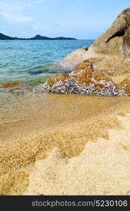 kho samui bay isle white beach rocks in thailand asia and south china sea