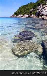kho tao bay isle white beach rocks in thailand asia and south china sea