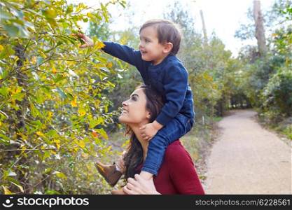 kid boy sitting on mother shoulders picking leaves from a tree in the park