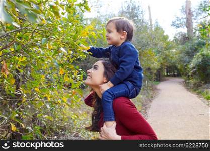 kid boy sitting on mother shoulders picking leaves from a tree in the park