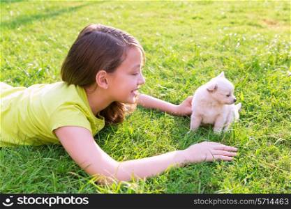 kid girl and puppy dog happy playing with chiuahua pet lying in backyard lawn