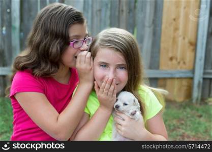 kid girls playing with puppy pet chihuahua with doggy outdoor
