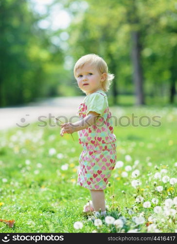 Kid on dandelions field