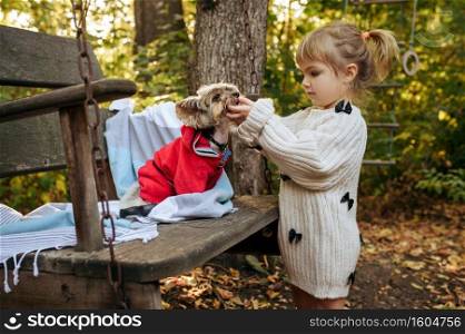 Kid play with funny dog on big wooden chair in the garden. Female child with puppy poses on backyard. Little girl and her pet having fun on playground outdoors, happy childhood. Kid play with dog on big wooden chai in the garden