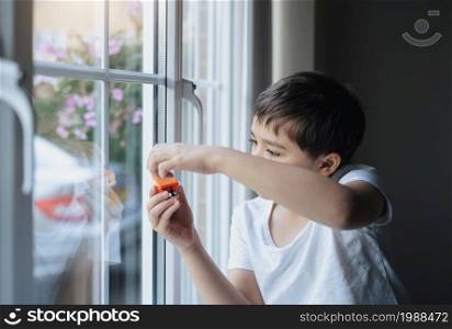 Kid playing with toy and looking at the midge climbing up outside of double glazed window. Boy sitting next to window looking out at insect with thinking face,Children learning about animals life in nature