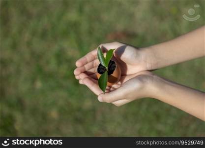 Kid’s hand holding repuposed eggshell transformed into fertilizer pot, symbolizing commitment to nurture and grow sprout or baby plant as environment social governance for future generation. Gyre. Kid’s hand holding repuposed eggshell transformed into fertilizer pot. Gyre