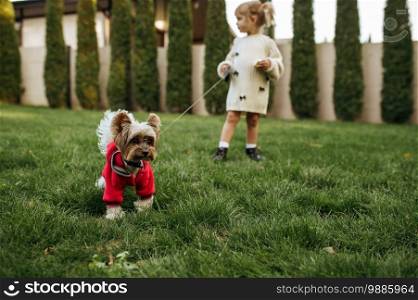 Kid with funny doggy walking in the garden. Female child with puppy poses on backyard. Little girl and her pet having fun on playground outdoors, happy childhood. Kid with funny doggy walking in the garden