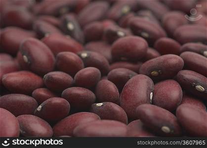 Kidney beans, close-up