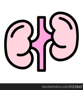 Kidney icon. Outline kidney vector icon color flat isolated. Kidney icon color outline vector