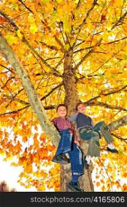 kids climbed on tree