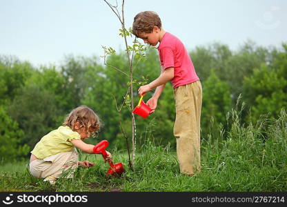 kids plant the tree