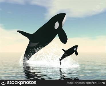 Killer whale mum and baby jumping upon ocean water by day. Killer whale mum and baby - 3D render