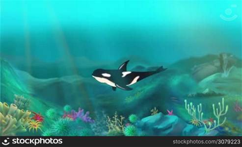 Killer Whale Underwater. Handmade animation, motion graphic.