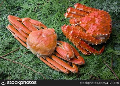 King and Snow crab