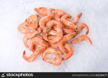 King shrimps at fishmarket on ice background