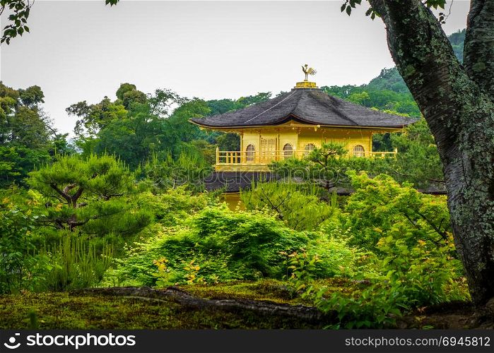 Kinkaku-ji golden temple pavilion in Kyoto, Japan. Kinkaku-ji golden temple, Kyoto, Japan
