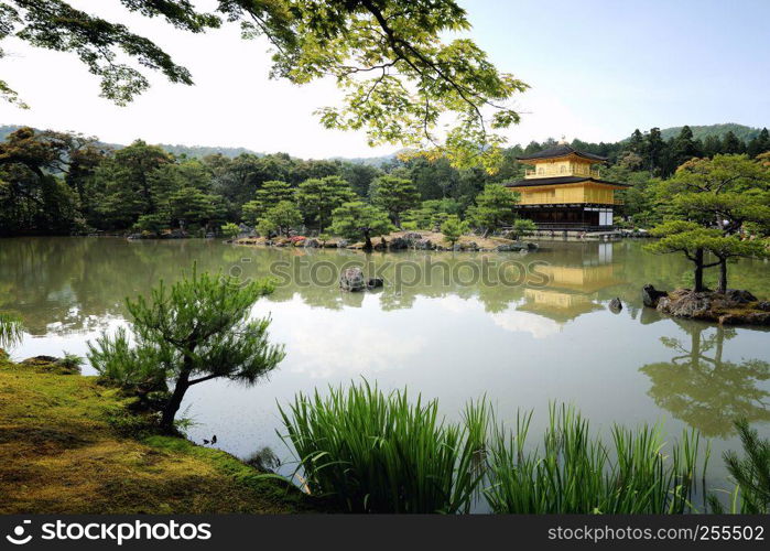 Kinkakuji Temple The Golden Pavilion in Kyoto , Japan