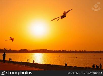 kite at sunset