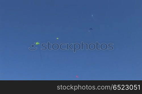 kite flying in the sky