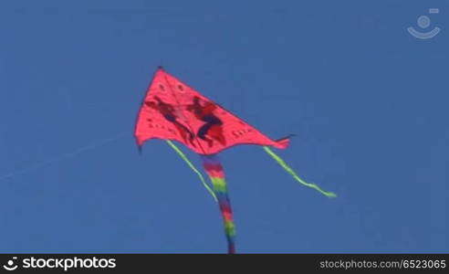 kite flying in the sky