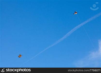 kite flying on the background blue sky