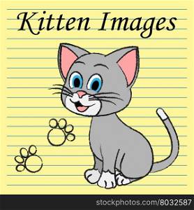 Kitten Images Indicating Domestic Cat And Kitties