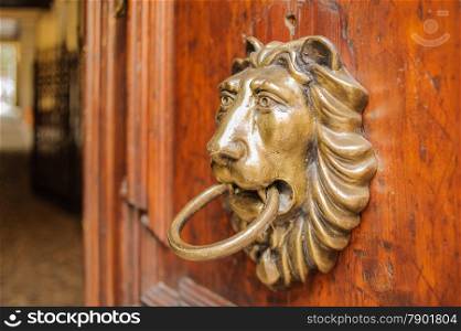 Knocker lion&rsquo;s head on a wooden door