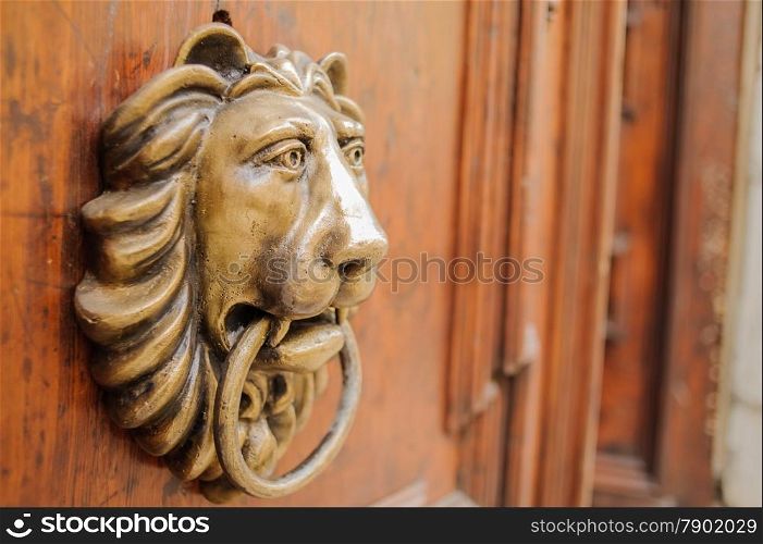 Knocker lion&rsquo;s head on a wooden door