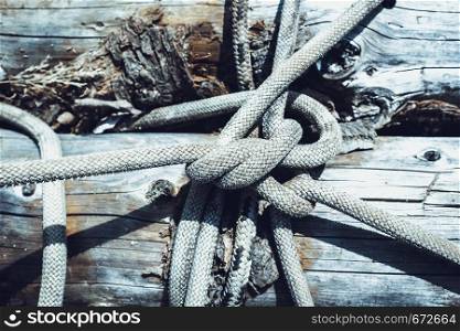 Knot of rope on tree. Marine knot holds bridge logs