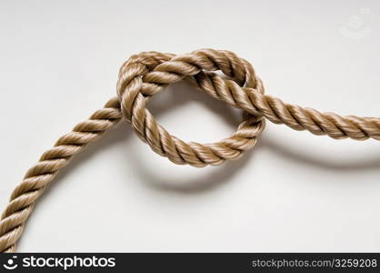 Knotted rope on a white background.