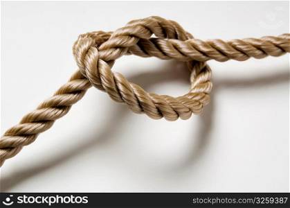 Knotted rope on a white background.