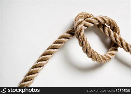 Knotted rope on a white background.