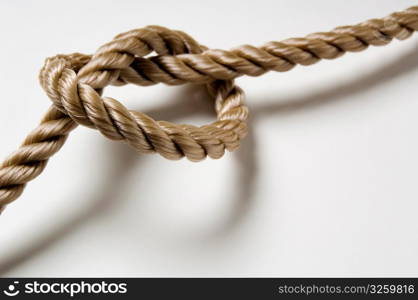 Knotted rope on a white background.