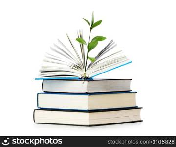 Knowledge concept - Leaves growing out of book