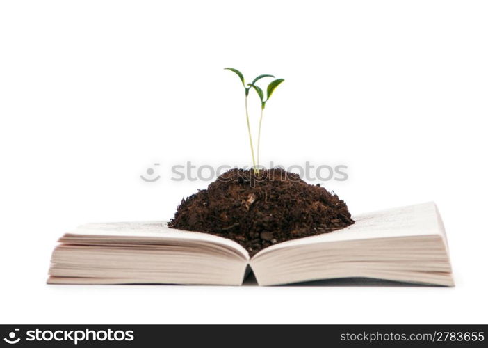 Knowledge concept with books and seedlings