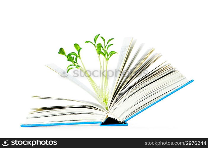 Knowledge concept with books and seedlings